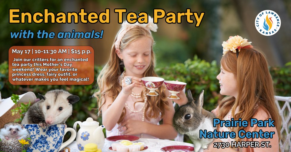 Comprehensive flyer archive - Enchanted Tea Party