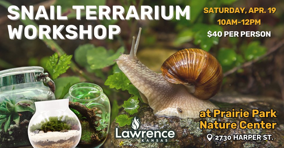 Comprehensive flyer archive - Snail Terrarium sample