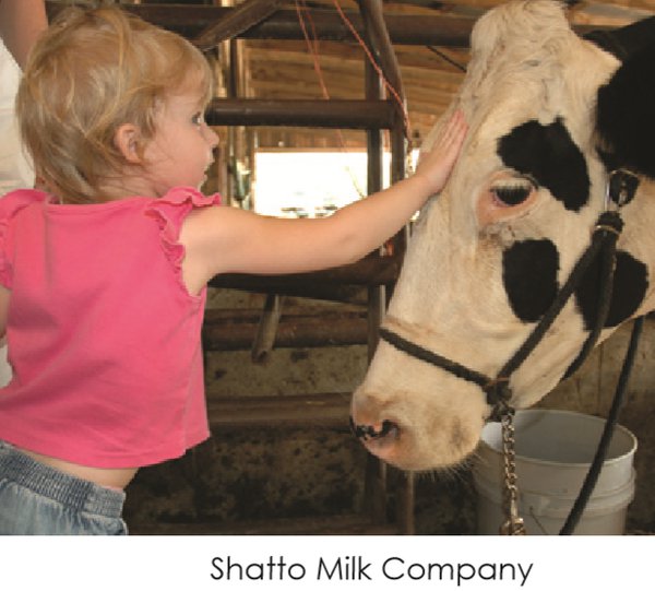 shatto(1).png