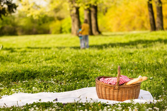 How Can You Arrange A Perfect Summer Picnic