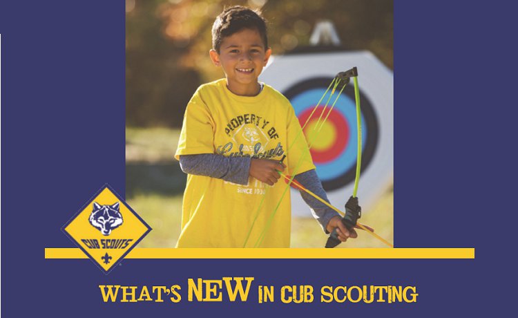 CUBSCOUTS.png