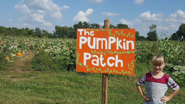 Louisburg Cider Mill Pumpkin Patch