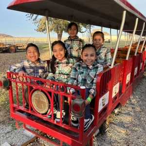 Carolyn’s Country Pumpkin Patch 