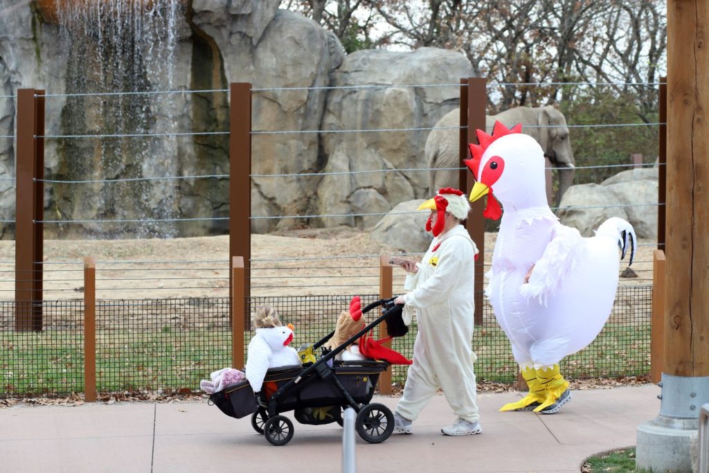 Family in matching chicken costumes enjoy Boo at the Zoo event at the Kansas City Zoo