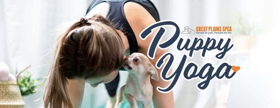 Puppy-Yoga