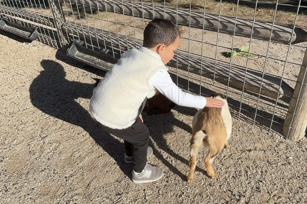 Perfect Spring Day Trips for Kansas City Families