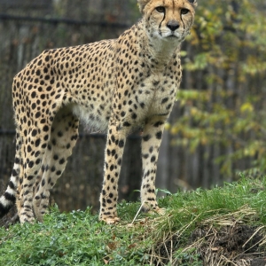 Topeka Zoo & Conservation Center