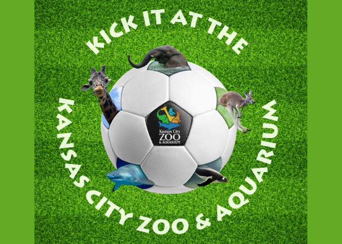Kick-It-700×5003