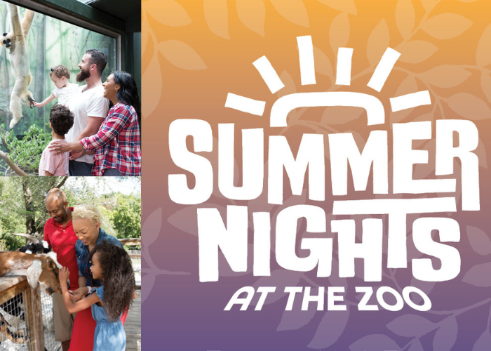 Summer Nights at the Zoo